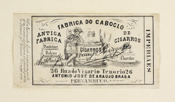 vizualizar o documento on line